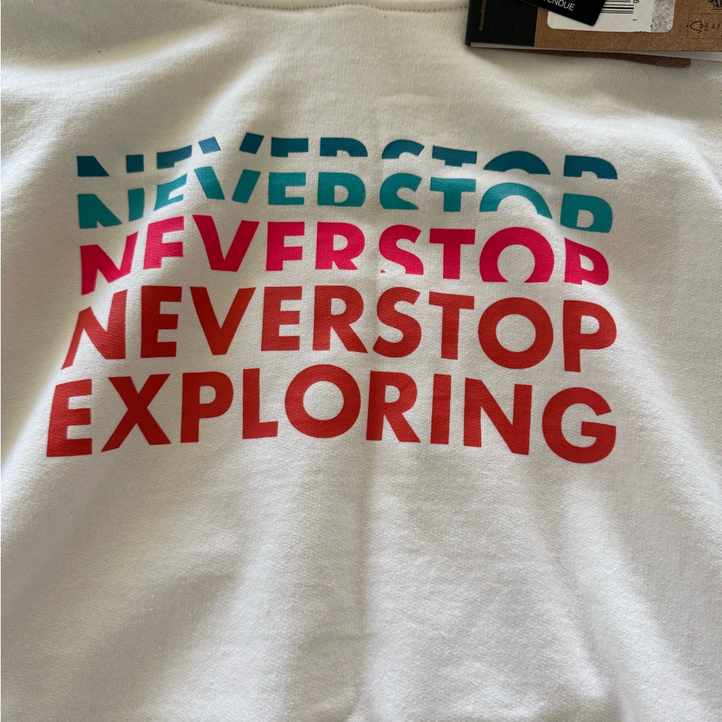 The North Face White Graphic Tee Hoodie